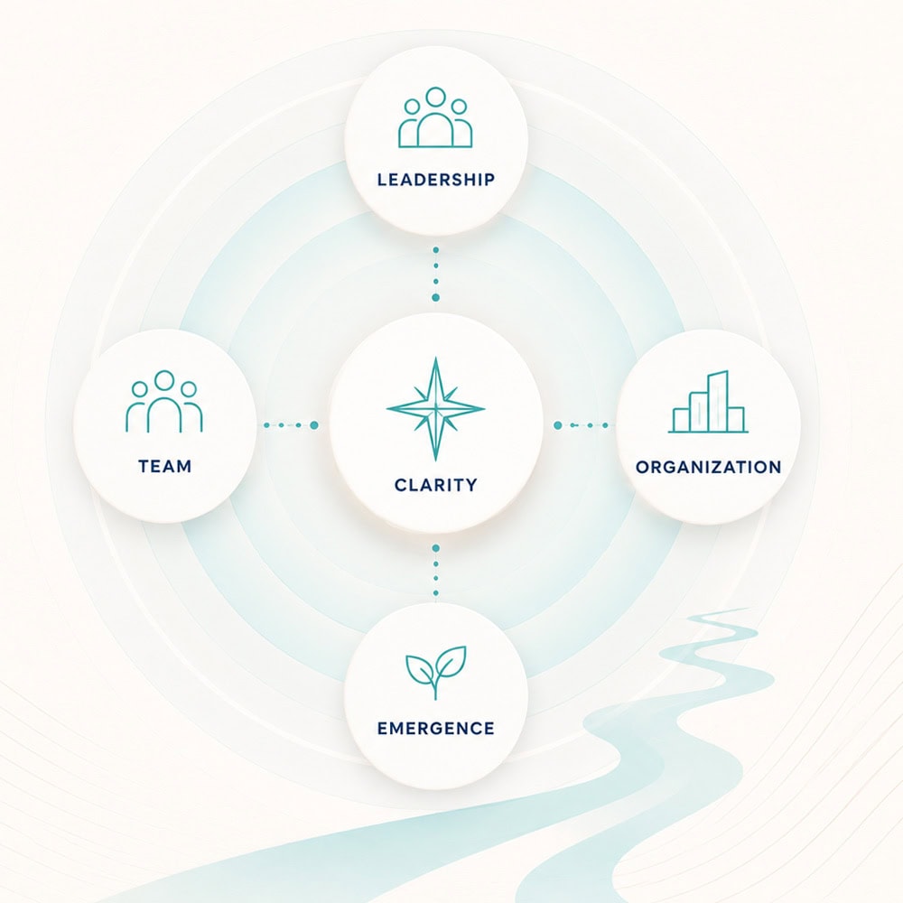 Diagram showing leadership, team, organization, emergence, and clarity.